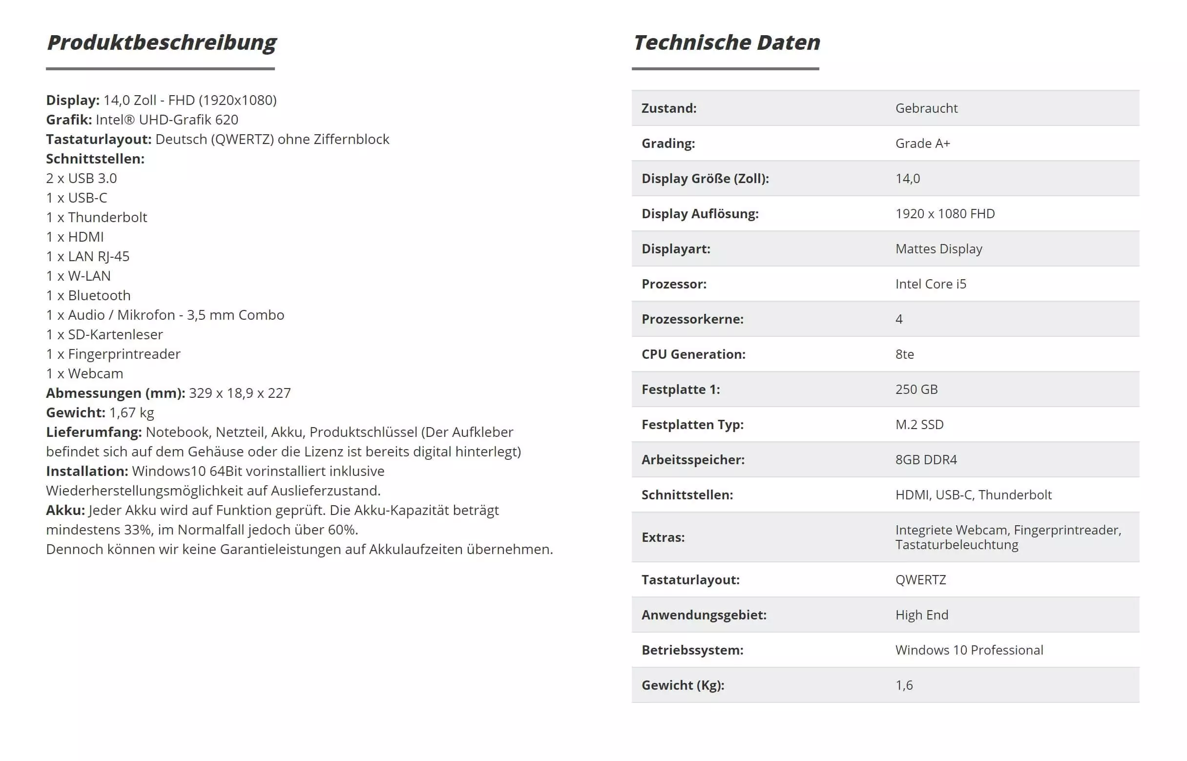 Lenovo ThinkPad T490 Tech Details