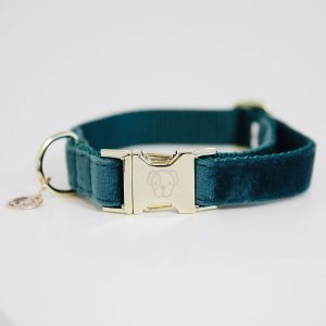 Kentucky Dogwear Hundehalsband Velvet Halsband Emerald M | kavalio - für mich und mein Pferd