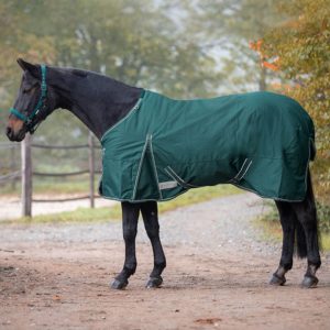 Waldhausen Outdoordecke 0g Economic Light Regendecke Tannengrün 145 cm | kavalio - für mich und mein Pferd