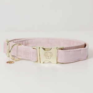 Kentucky Dogwear Hundehalsband Velvet Halsband Hell Rosa S | kavalio - für mich und mein Pferd