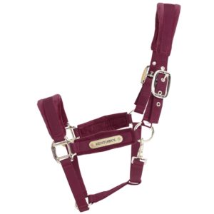 Kentucky Horsewear Halfter Velvet Samthalfter Stallhalfter Bordeaux Shetland Pony | kavalio - für mich und mein Pferd