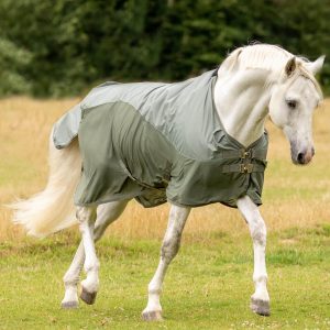 BUSSE Fliegendecke Rainfly Regendecke Light Olive 125 | kavalio - für mich und mein Pferd