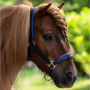 Waldhausen Lederhalfter Star Diamond Pferdehalfter Blau WB | kavalio - für mich und mein Pferd