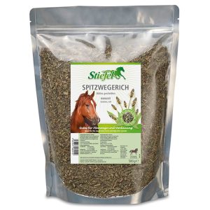 Stiefel Spitzwegerich Nahrungsergänzungsmittel Pferd | kavalio - für mich und mein Pferd