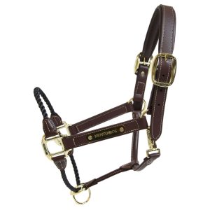 Kentucky Horsewear Lederhalfter Rope Halfter Braun Full | kavalio - für mich und mein Pferd