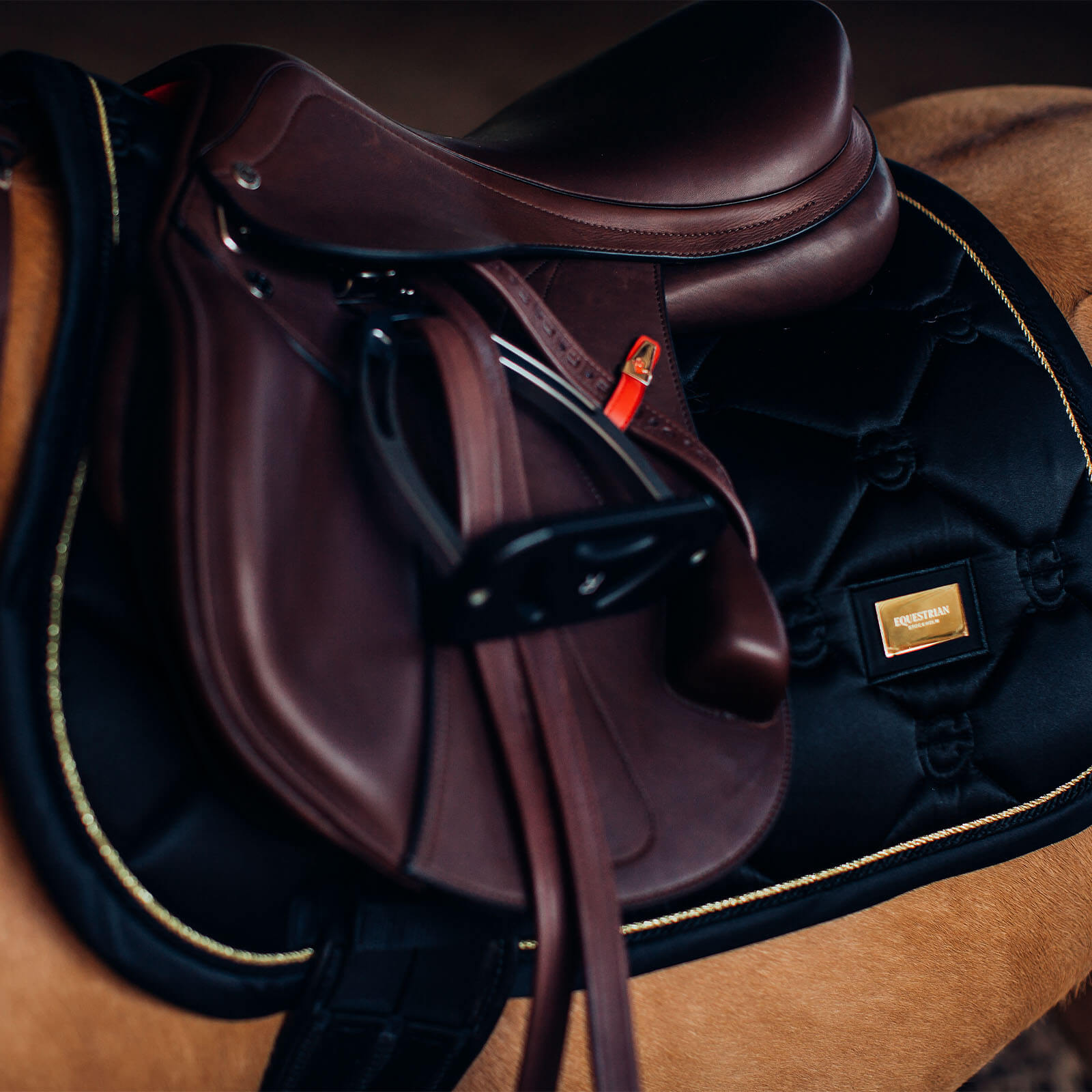 Equestrian Stockholm Springschabracke Black Gold | kavalio - für mich und mein Pferd – Bild 2