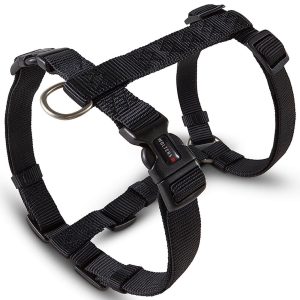 Wolters Geschirr Professional Hundegeschirr Schwarz XL | kavalio - für mich und mein Pferd