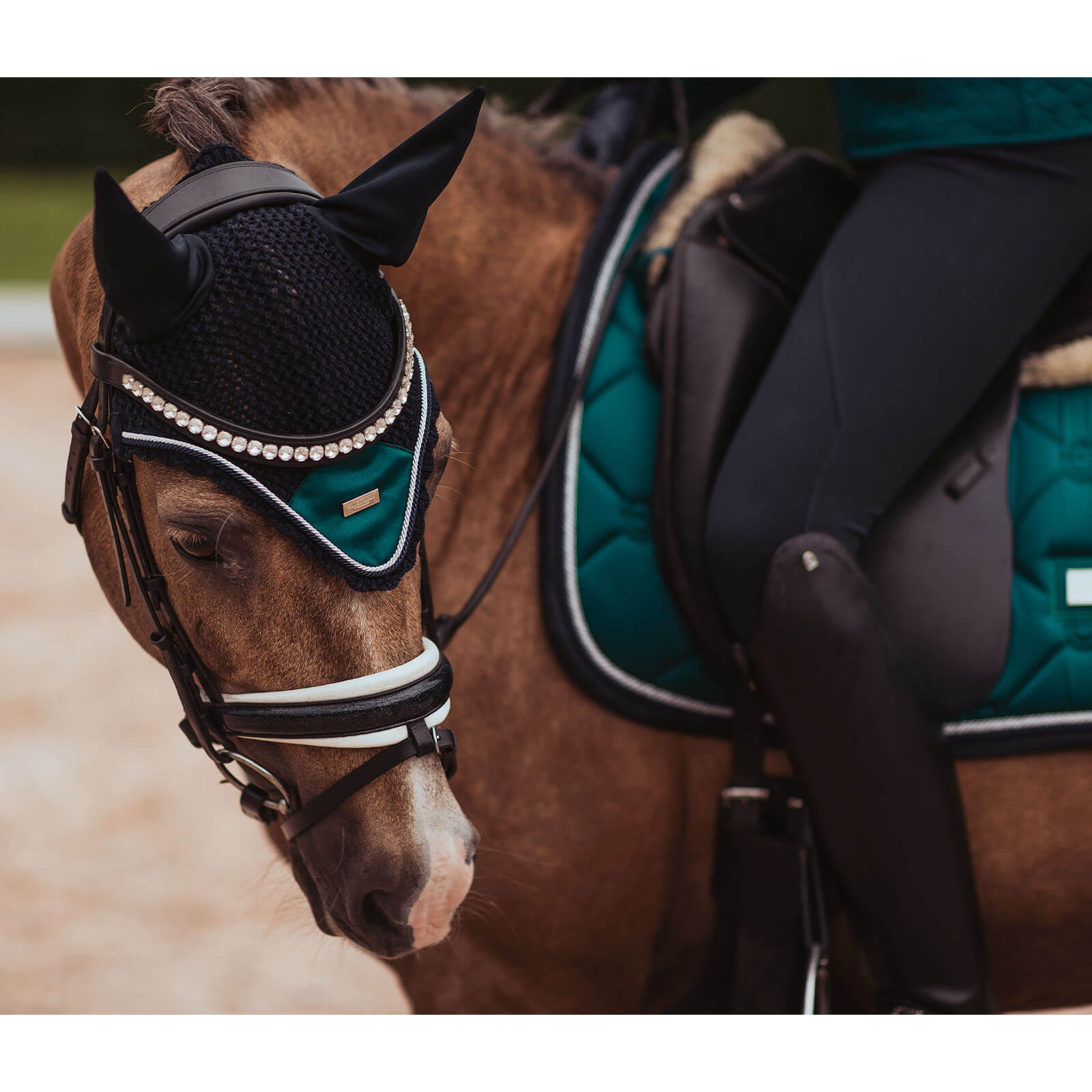 Equestrian Stockholm Fliegenmütze Emerald Full | kavalio - für mich und mein Pferd – Bild 2