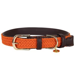 Kentucky Dogwear Hundehalsband Geflochten Nylon Orange S | kavalio - für mich und mein Pferd