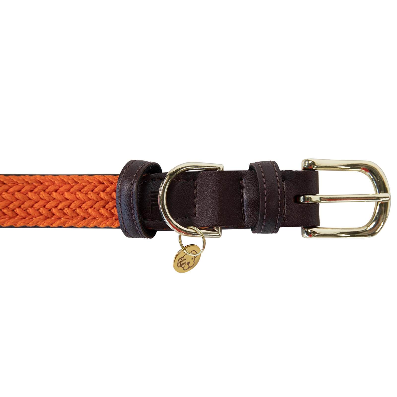 Kentucky Dogwear Hundehalsband Geflochten Nylon Orange S | kavalio - für mich und mein Pferd – Bild 2