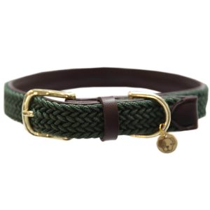 Kentucky Dogwear Hundehalsband Geflochten Nylon Olive Green M/L | kavalio - für mich und mein Pferd