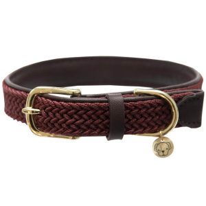 Kentucky Dogwear Hundehalsband Geflochten Nylon Bordeaux M/L | kavalio - für mich und mein Pferd