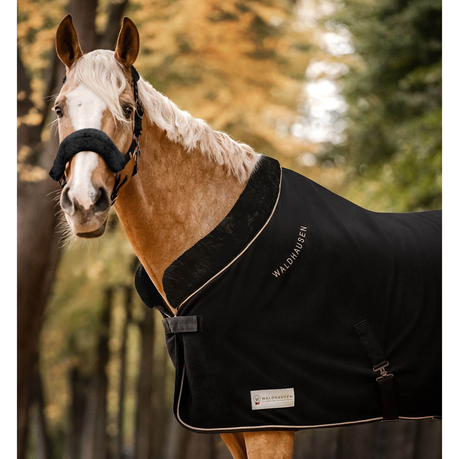 Waldhausen Abschwitzdecke Modern Rosé Schwarz 125 cm | kavalio - für mich und mein Pferd – Bild 2