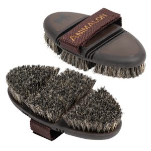 Animalon Schweineborsten-Kardätsche CareFlex | kavalio - für mich und mein Pferd