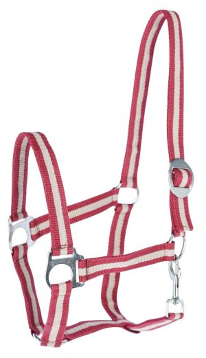 Covalliero Nylonhalfter Hippo Halfter Bordeaux/Beige Cob | kavalio - für mich und mein Pferd