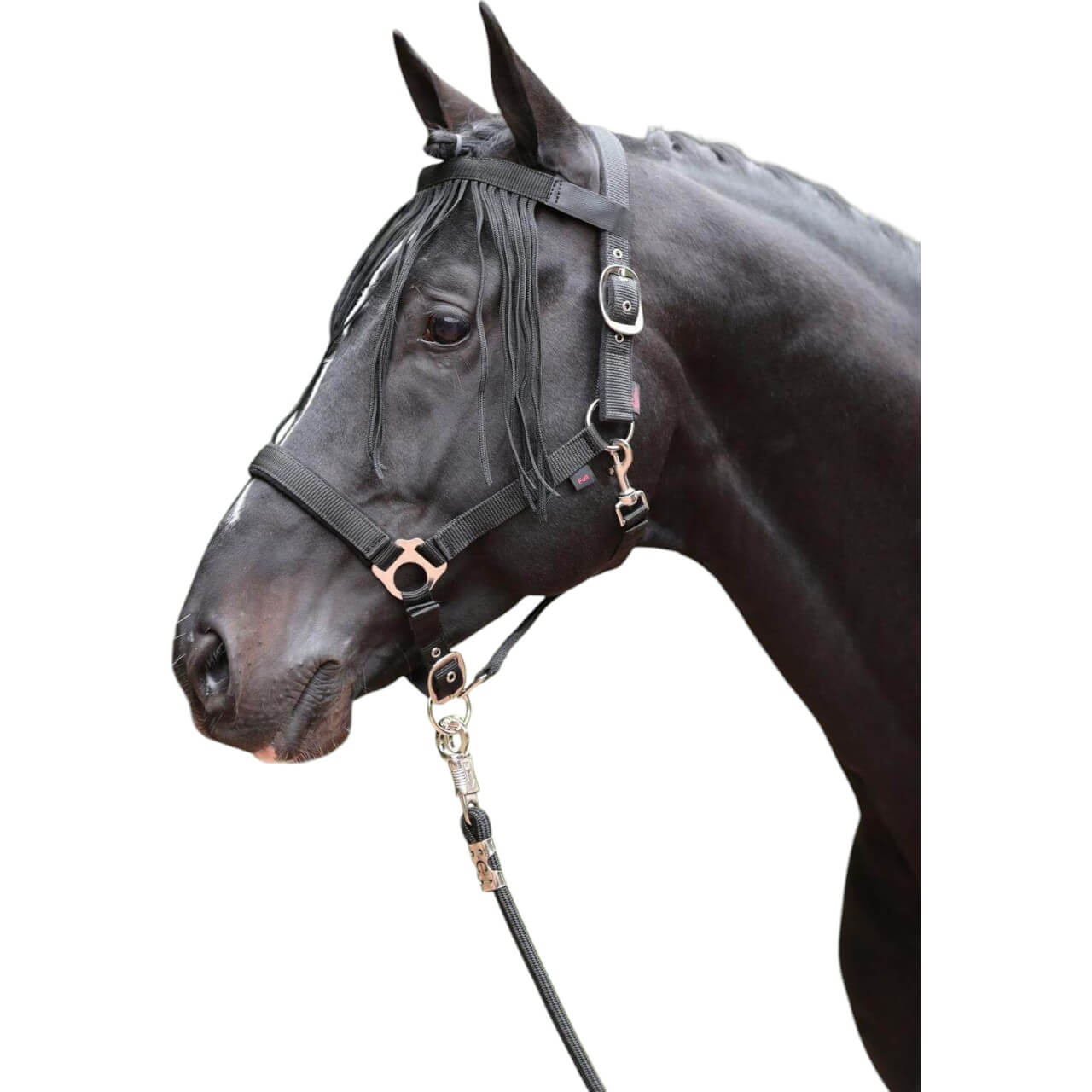 Covalliero Fliegen-Fransenband mit Klett Fliegenband Schwarz Pony | kavalio - für mich und mein Pferd