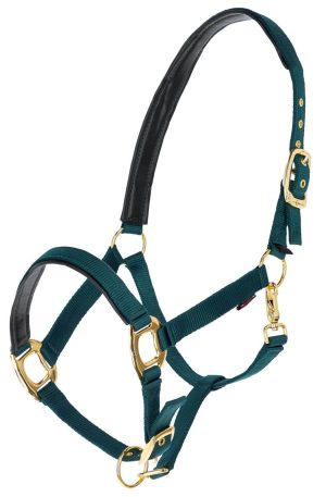 Covalliero Halfter TopLine Nylonhalfter Forest Cob | kavalio - für mich und mein Pferd