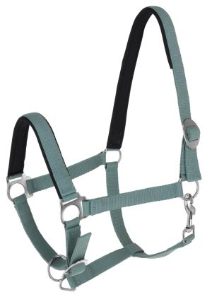 Covalliero Halfter Doria Nylonhalfter Jade Green Pony | kavalio - für mich und mein Pferd