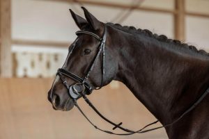 Covalliero Gebissscheiben 9cm | kavalio - für mich und mein Pferd