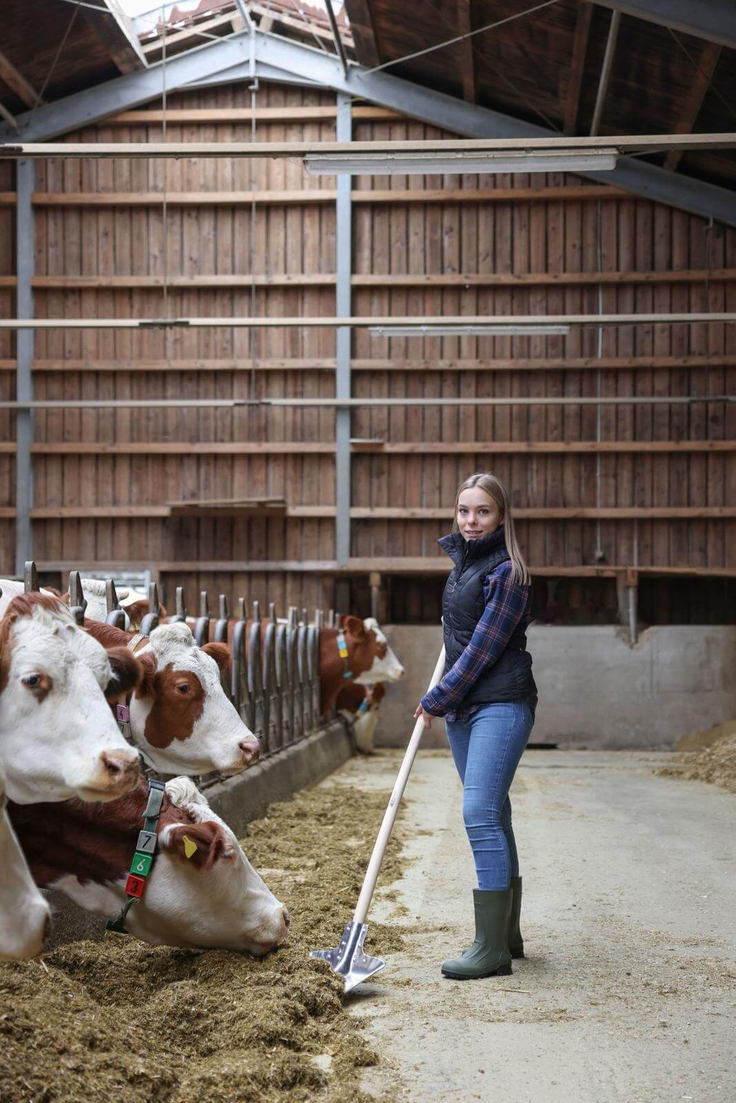 KERBL Aluschaufel Profi | kavalio - für mich und mein Pferd – Bild 2