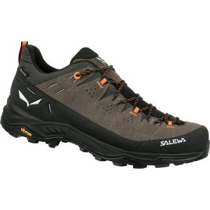 Salewa Herren Alp Trainer 2 GTX Schuhe