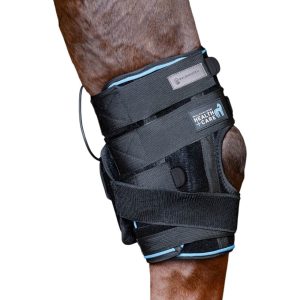 Waldhausen Health + Care Gamasche Sprunggelenk Therapie-Gamasche Schwarz | kavalio - für mich und mein Pferd