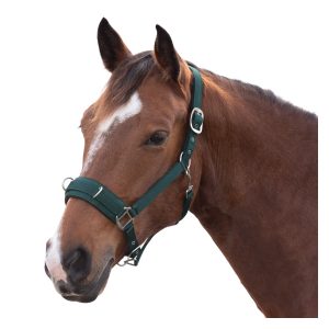 Horse-friends Longier- und Stallhalfter