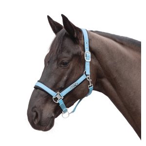 Horse-friends Halfter Seattle