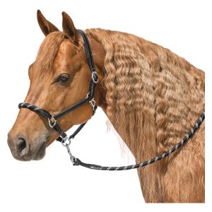 L-pro West Lederhalfter Combination