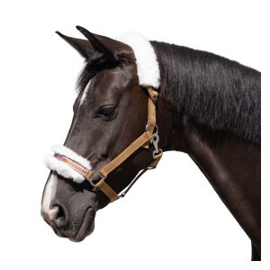 Horse-friends Halfter Herzilein