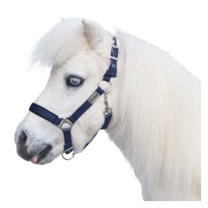Horse-friends Halfter