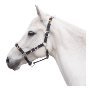 black forest Lederhalfter Canterbury