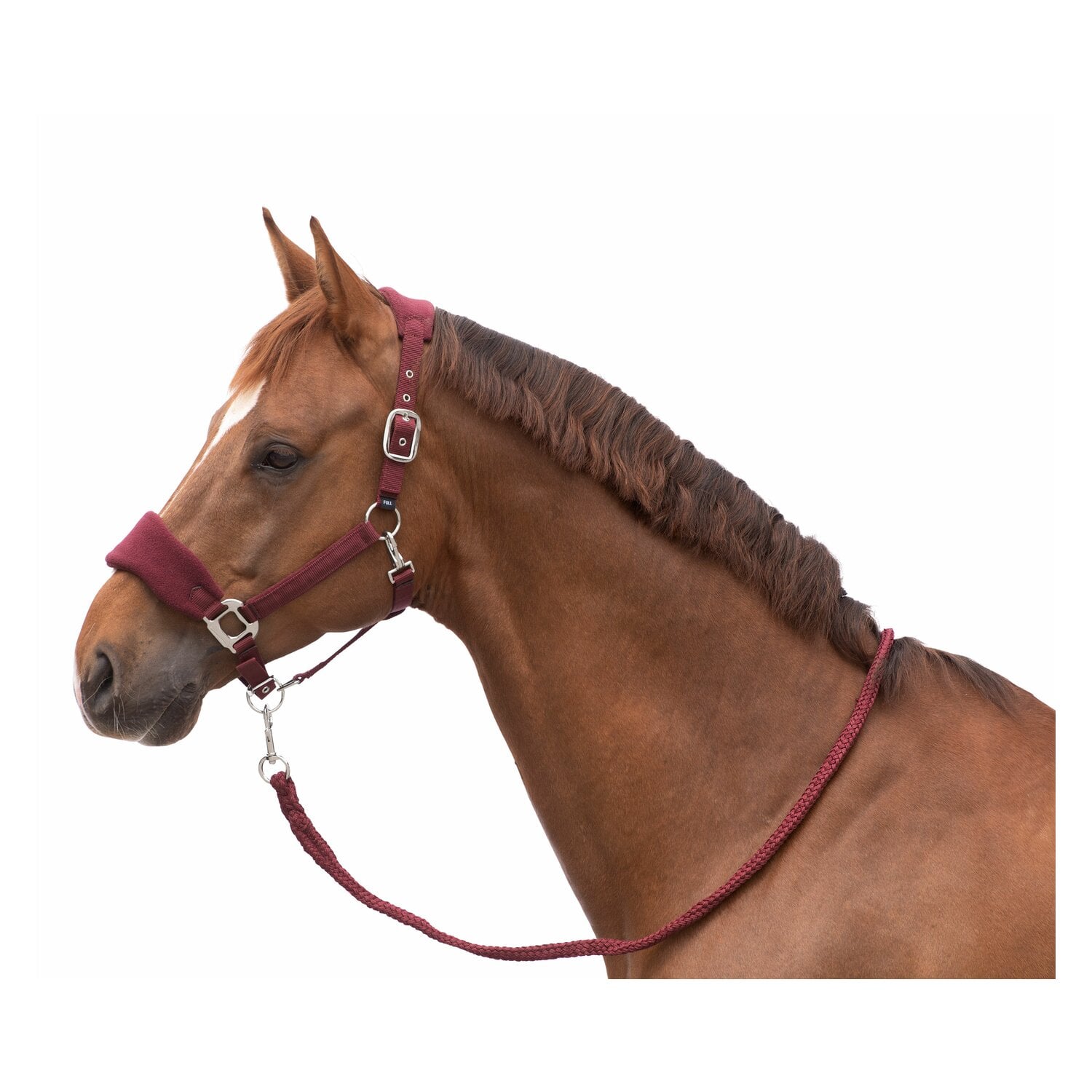 Horse-friends Halfter-Set Rouen – Bild 2