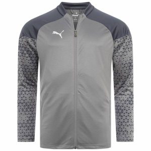 PUMA teamCUP 1/4-Zip Herren Training Sweatshirt 657983-13