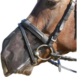 BUSSE Nüsternschutz Fly Protector Schwarz WB | kavalio - für mich und mein Pferd
