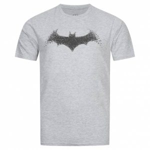 Batman DC COMICS Herren T-Shirt GBMTS357HGY