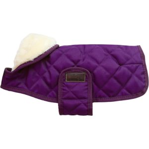 Kentucky Dogwear Hundemantel Original Hundejacke Royal Purple Dackel | kavalio - für mich und mein Pferd