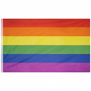 Regenbogenfahne MUWO "Around the World" Flagge 90x150cm