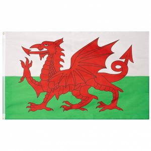 Wales Flagge MUWO "Nations Together" 90 x 150 cm