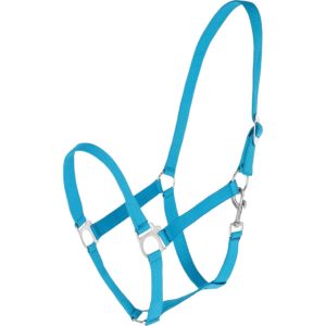 Covalliero Nylonhalfter Hippo Halfter Blau Cob | kavalio - für mich und mein Pferd