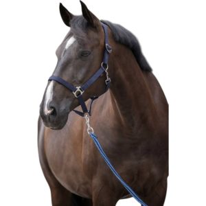 Covalliero Nylonhalfter Hippo Halfter Marine Full | kavalio - für mich und mein Pferd