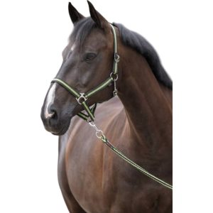 Covalliero Nylonhalfter Hippo Halfter Anthrazit/Lemon Pony | kavalio - für mich und mein Pferd