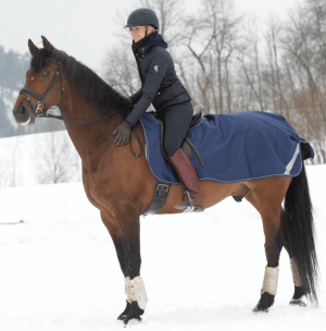Bucas Ausreitdecke Riding Rug Navy/ Silver XL | kavalio - für mich und mein Pferd