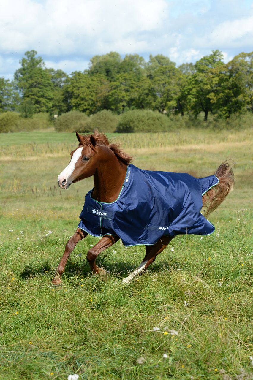 Bucas Outdoordecke 0g Smartex Turnout Rain Regendecke Blue 120 | kavalio - für mich und mein Pferd – Bild 2