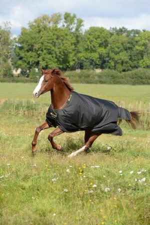 Bucas Outdoordecke 150g Irish Turnout Weidedecke Black/Gold 125 | kavalio - für mich und mein Pferd