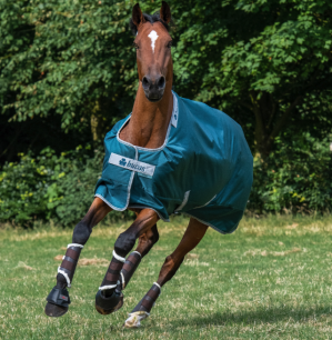 Bucas Outdoordecke 200g Atlantic Turnout Weidedecke Green 115 | kavalio - für mich und mein Pferd