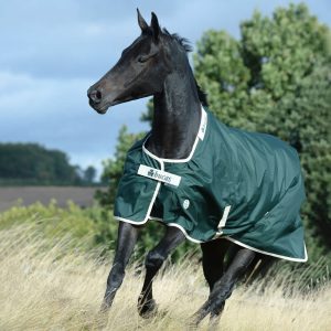 Bucas Outdoordecke 100g Greenline Turnout Weidedecke Green/Cream 135 | kavalio - für mich und mein Pferd