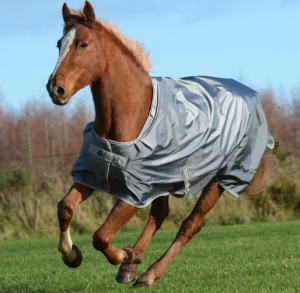 Bucas Outdoordecke 150g Smartex Turnout Weidedecke Iron Gate 125 | kavalio - für mich und mein Pferd