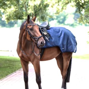 BUSSE Ausreitdecke 100g Raintrainer Reitdecke Navy 125 | kavalio - für mich und mein Pferd