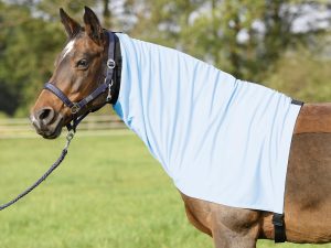 BUSSE Ekzemer Halsteil Extensive Hellblau S (115/125cm) | kavalio - für mich und mein Pferd